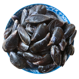 Cooked Canada blue mussels