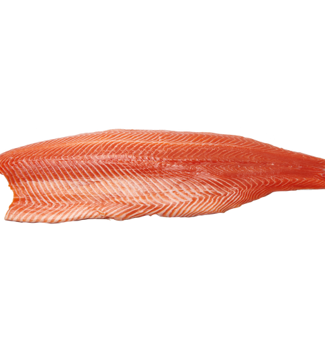 Frozen Fillet Atlantic Salmon